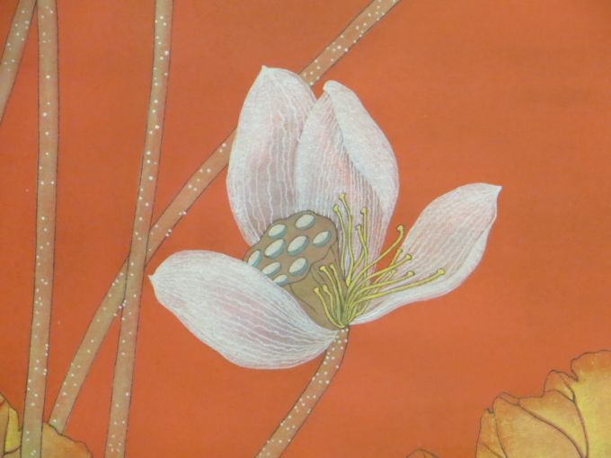 Where is the home for this lotus?